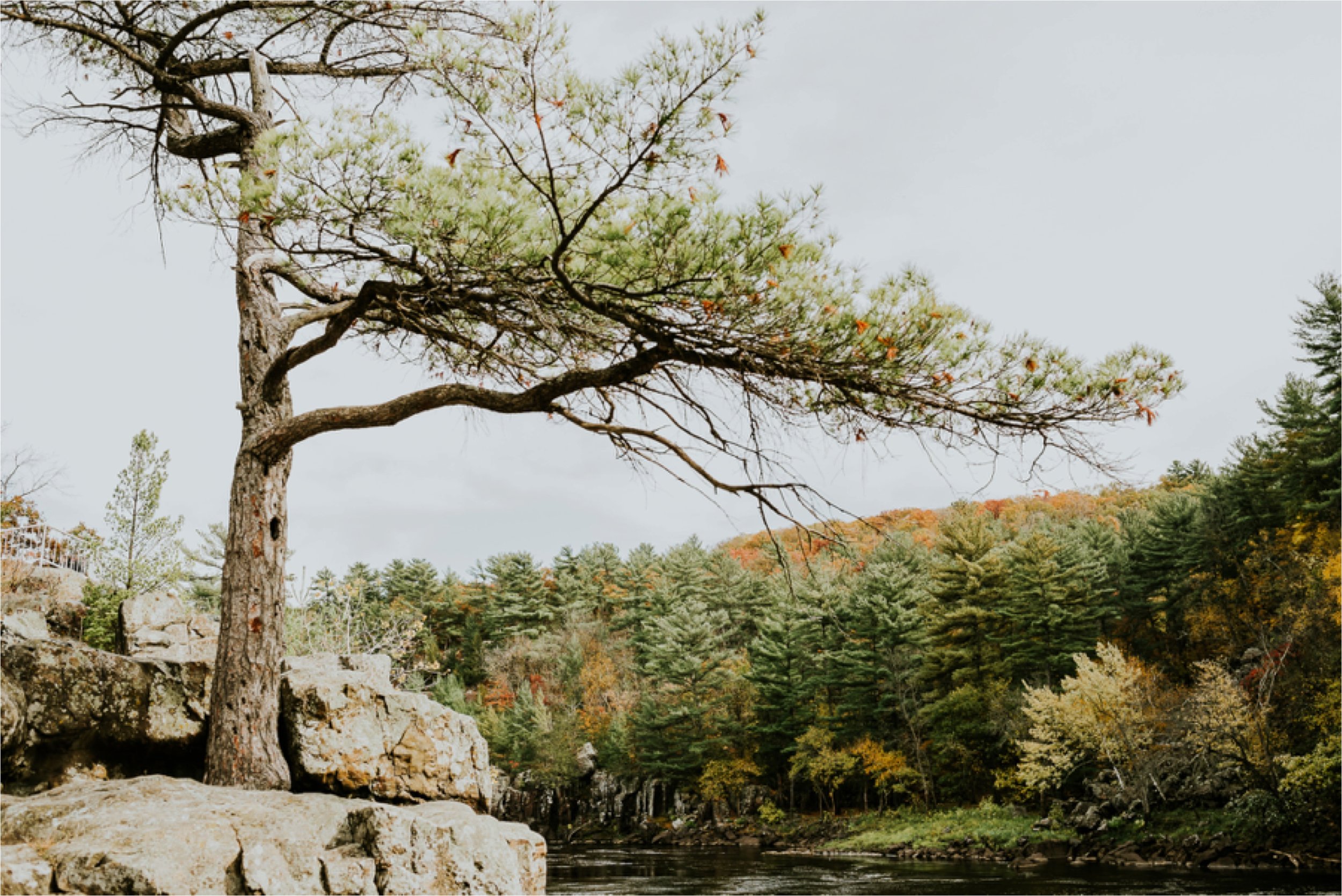 Taylors Falls Minnesota Wedding Photographer_0383.jpg