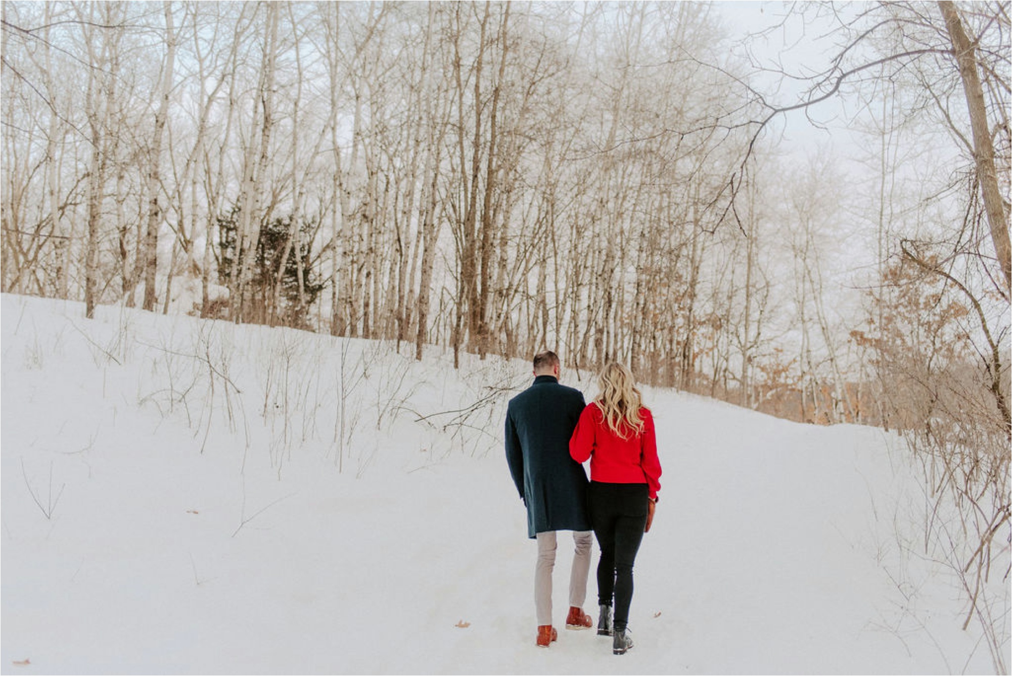 Lebanon Hills Winter Engagement Session Minnesota Photographer_4002.jpg