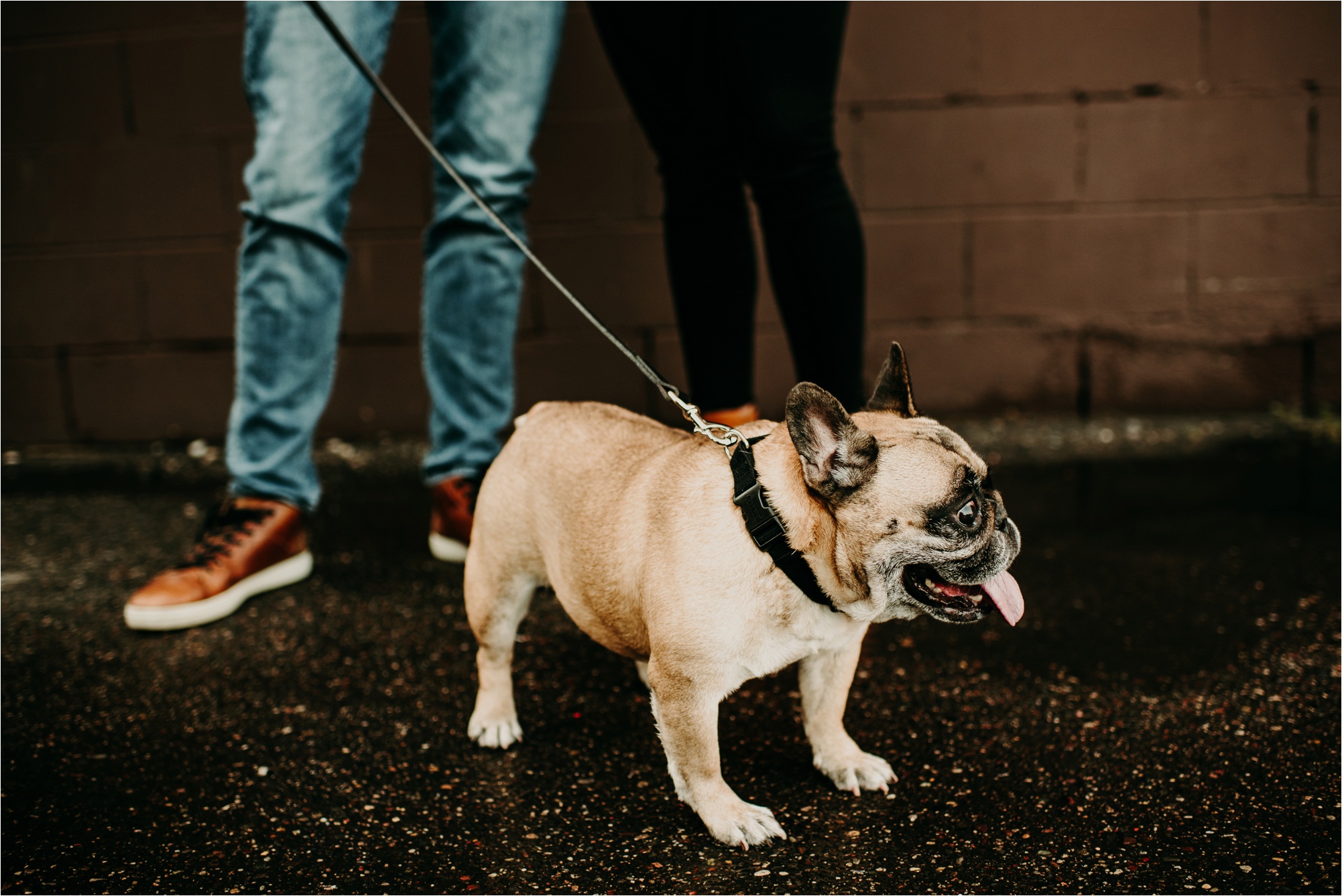 north loop minneapolis dog engagement session