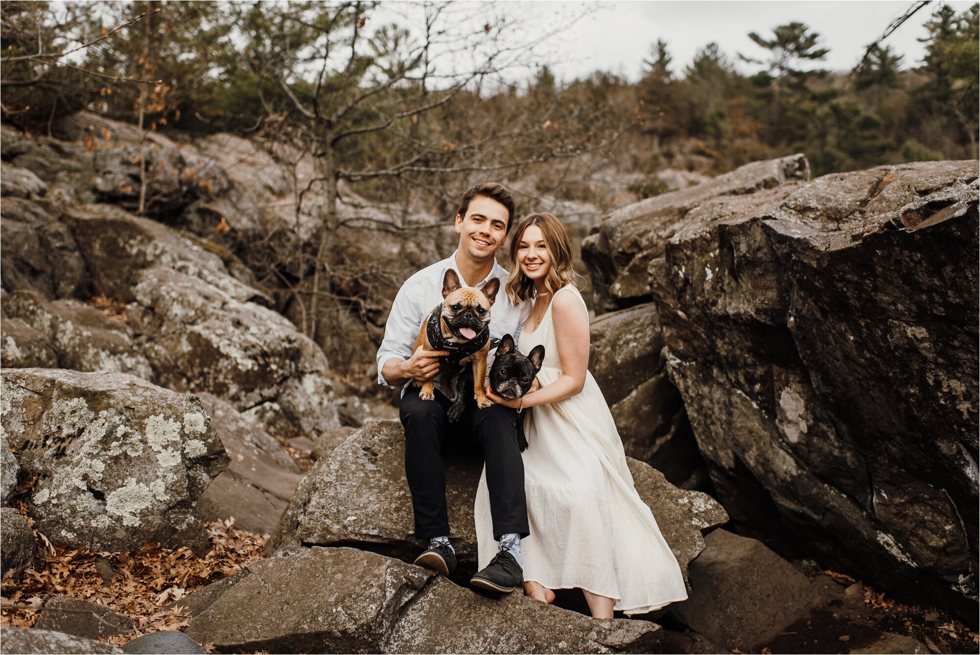  frenchies french bulldog engagement session minnesota taylors falls photographer ali leigh wedding couple 