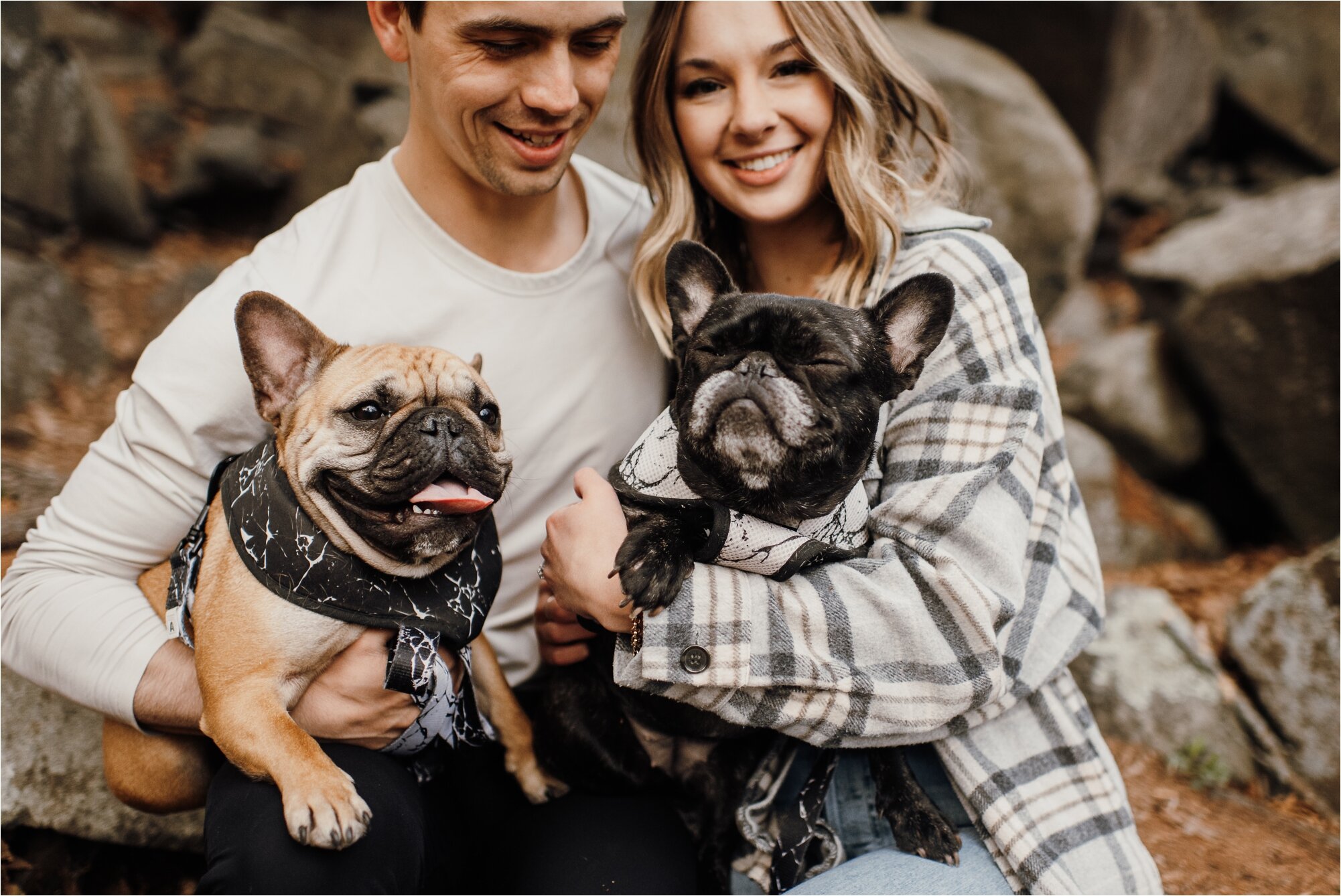  french bulldogs frenchie ali leigh photo engagement session photos 
