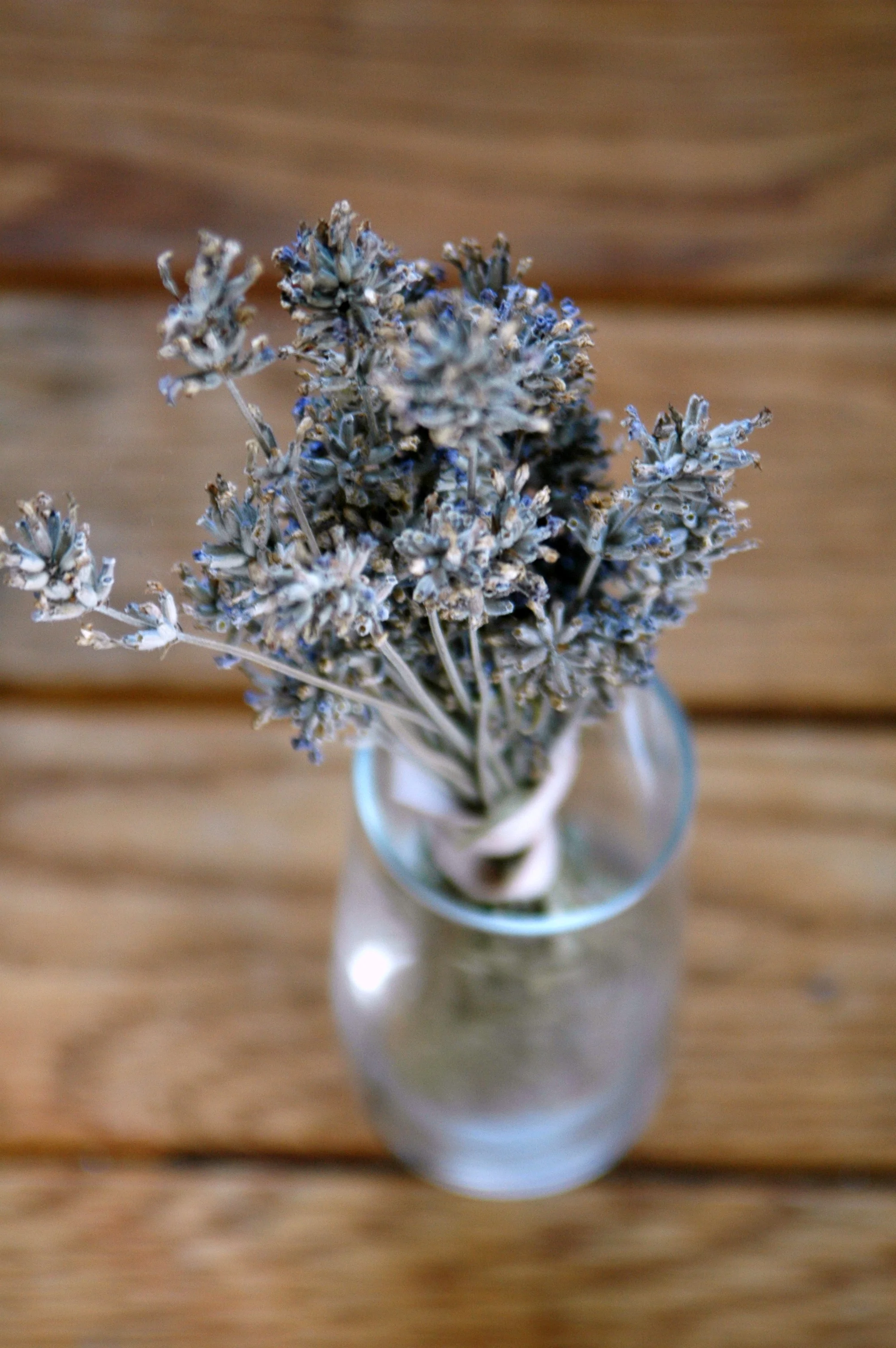 spices_lavender.jpg