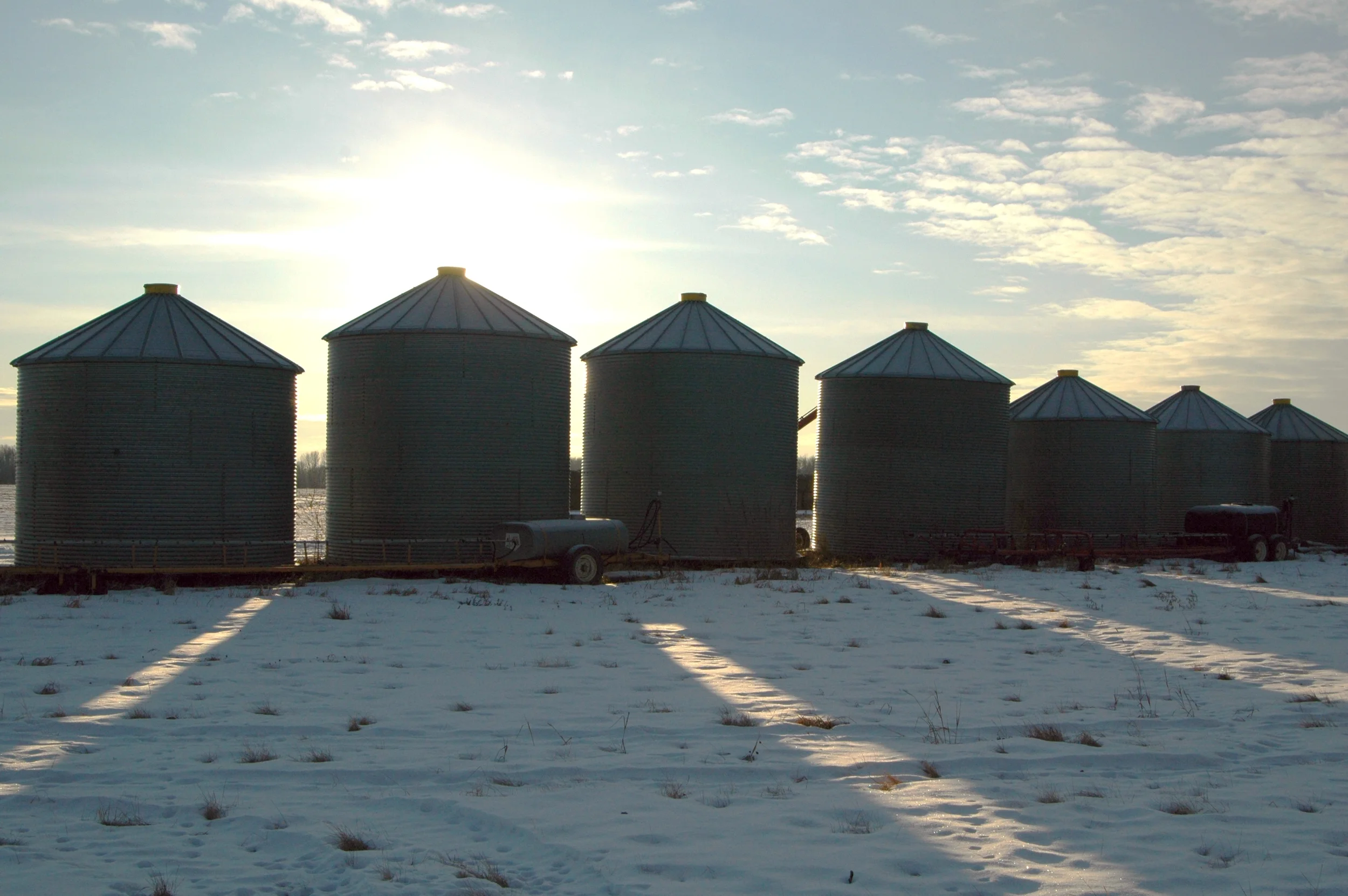 grain