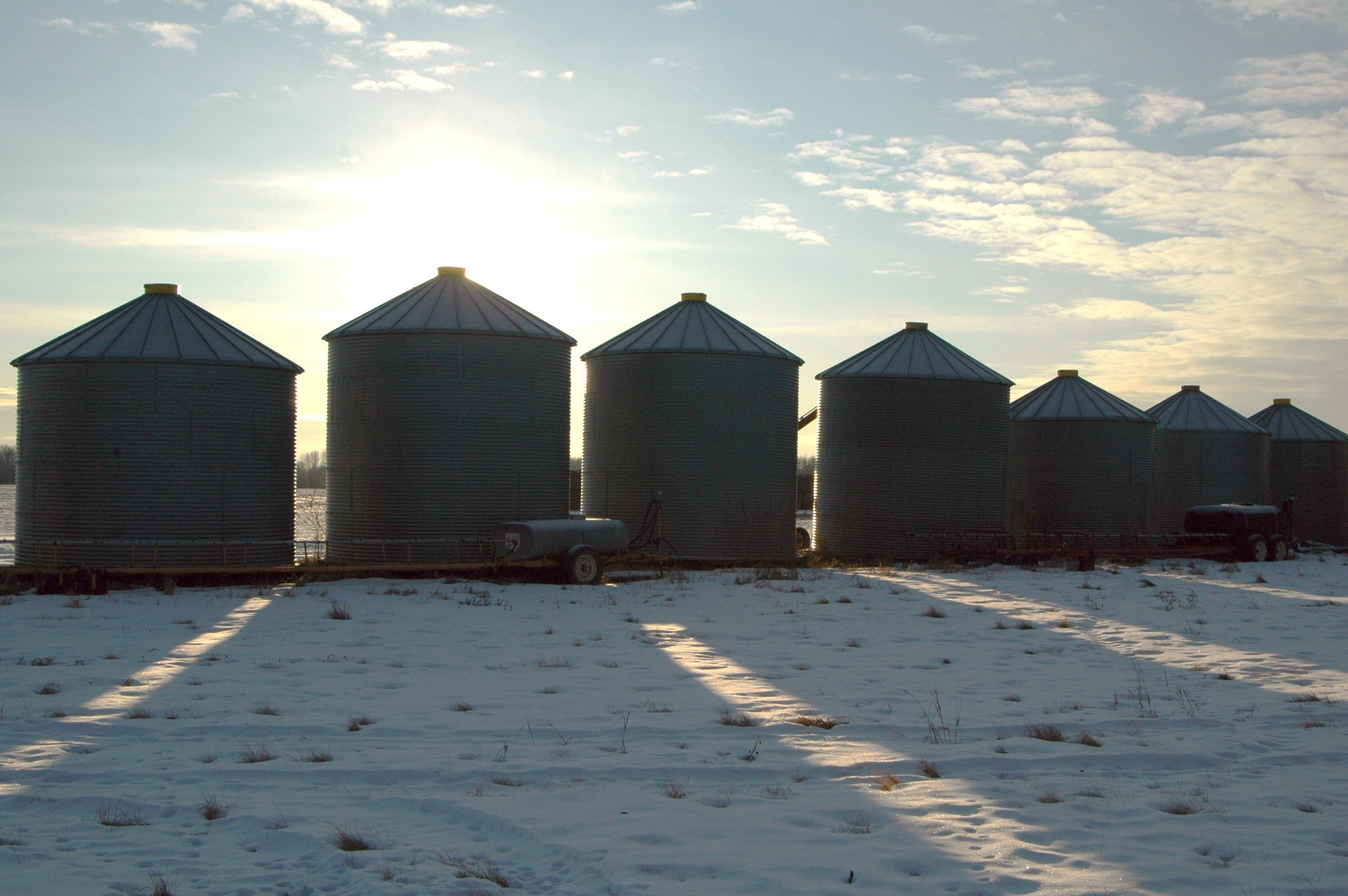 grain