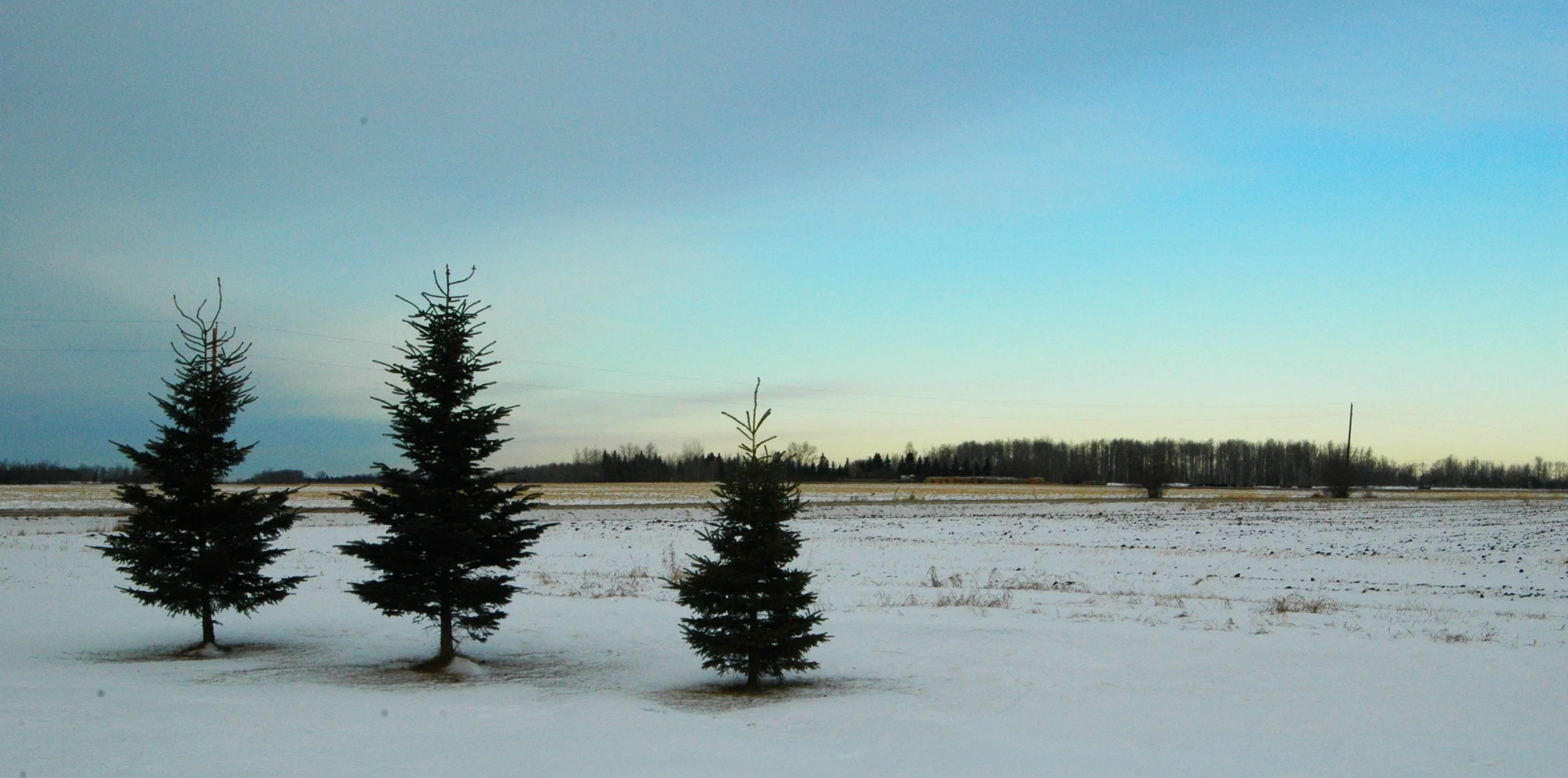 DSC_0078.JPG