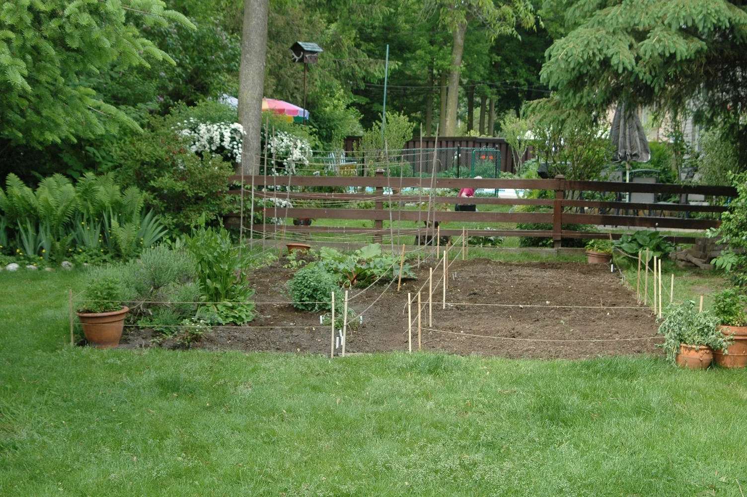 vegetable garden