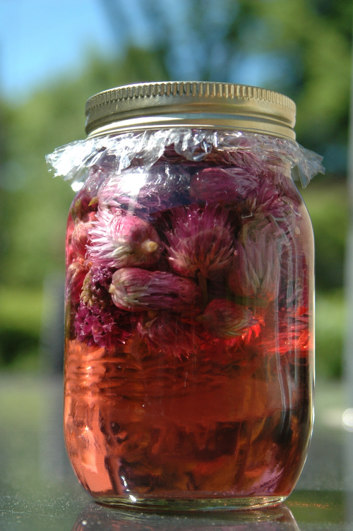 chiveflowervinegar
