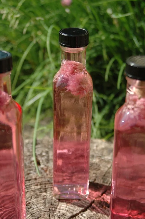 chiveflowervinegar