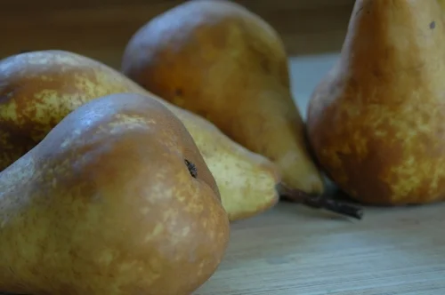 pears.jpg