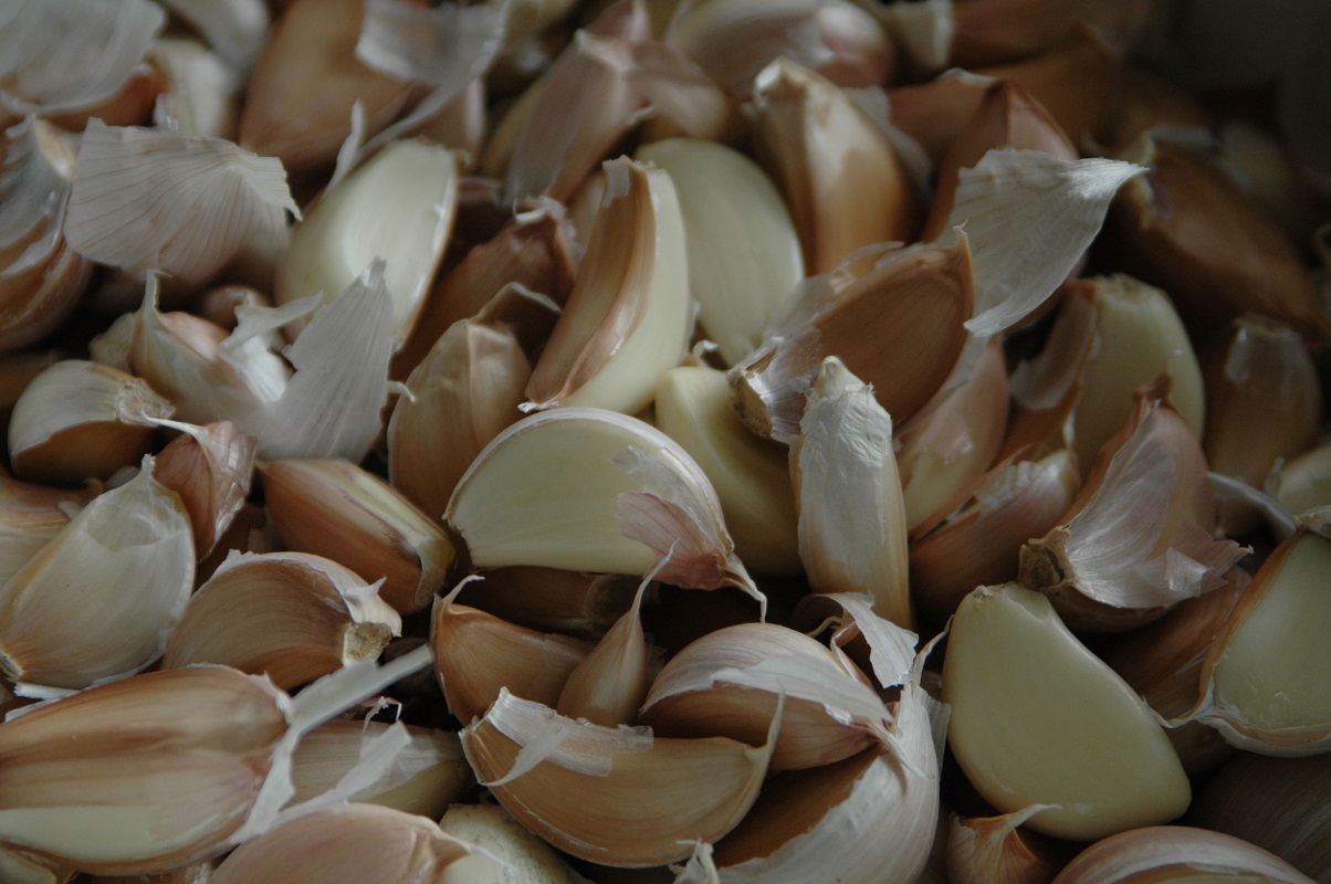 angrygarlic4.jpg