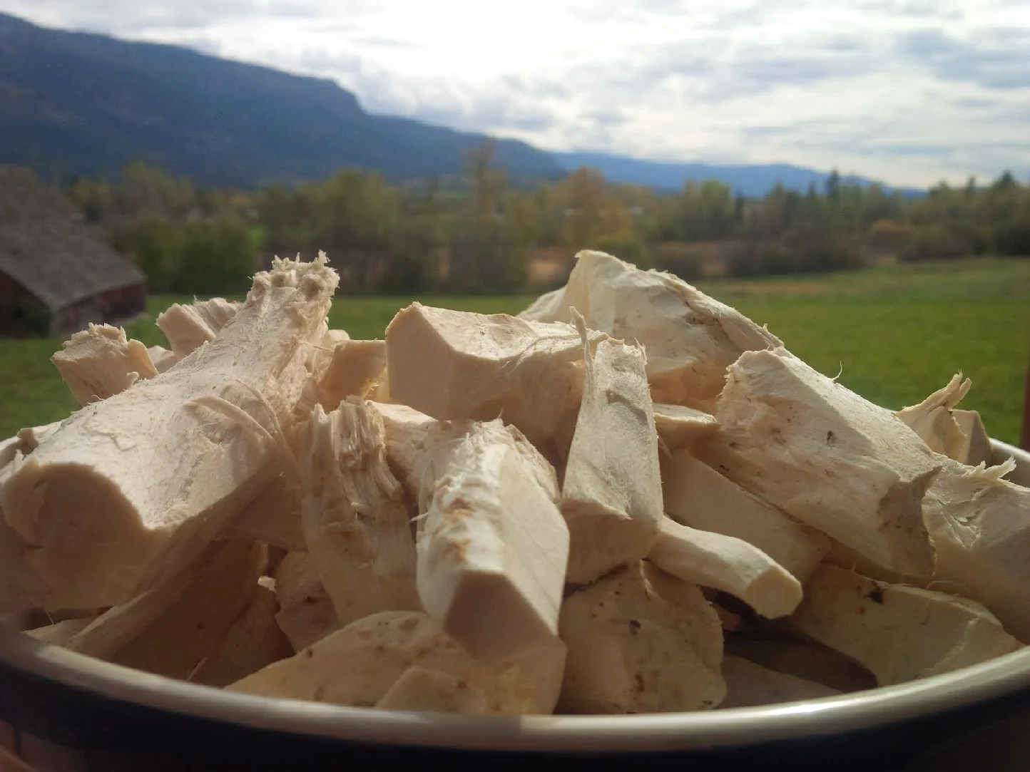 peeled_horseradish
