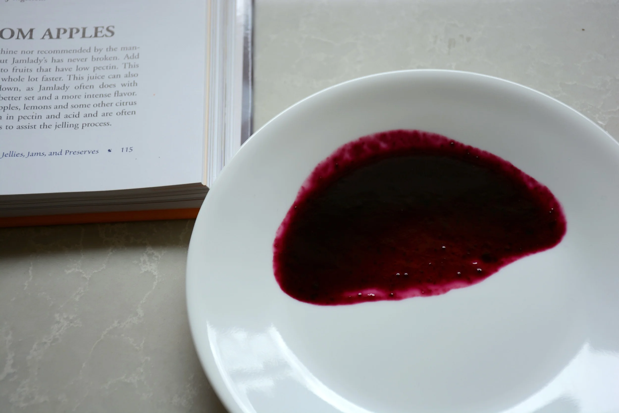 Blueberries has a small amount of gelatin formed in the test