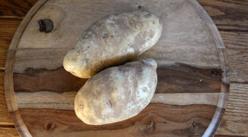 gnocchi potatoes
