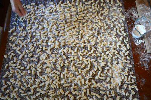 gnocchi_overheadshot.jpg