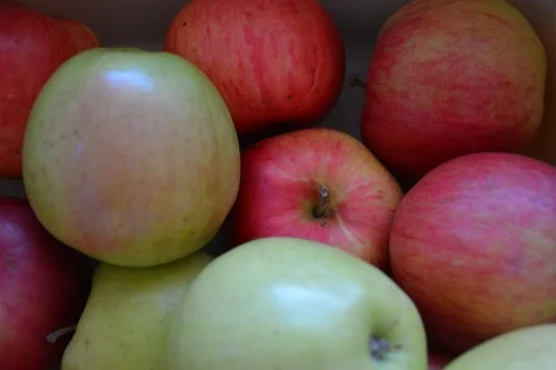 ontario apples