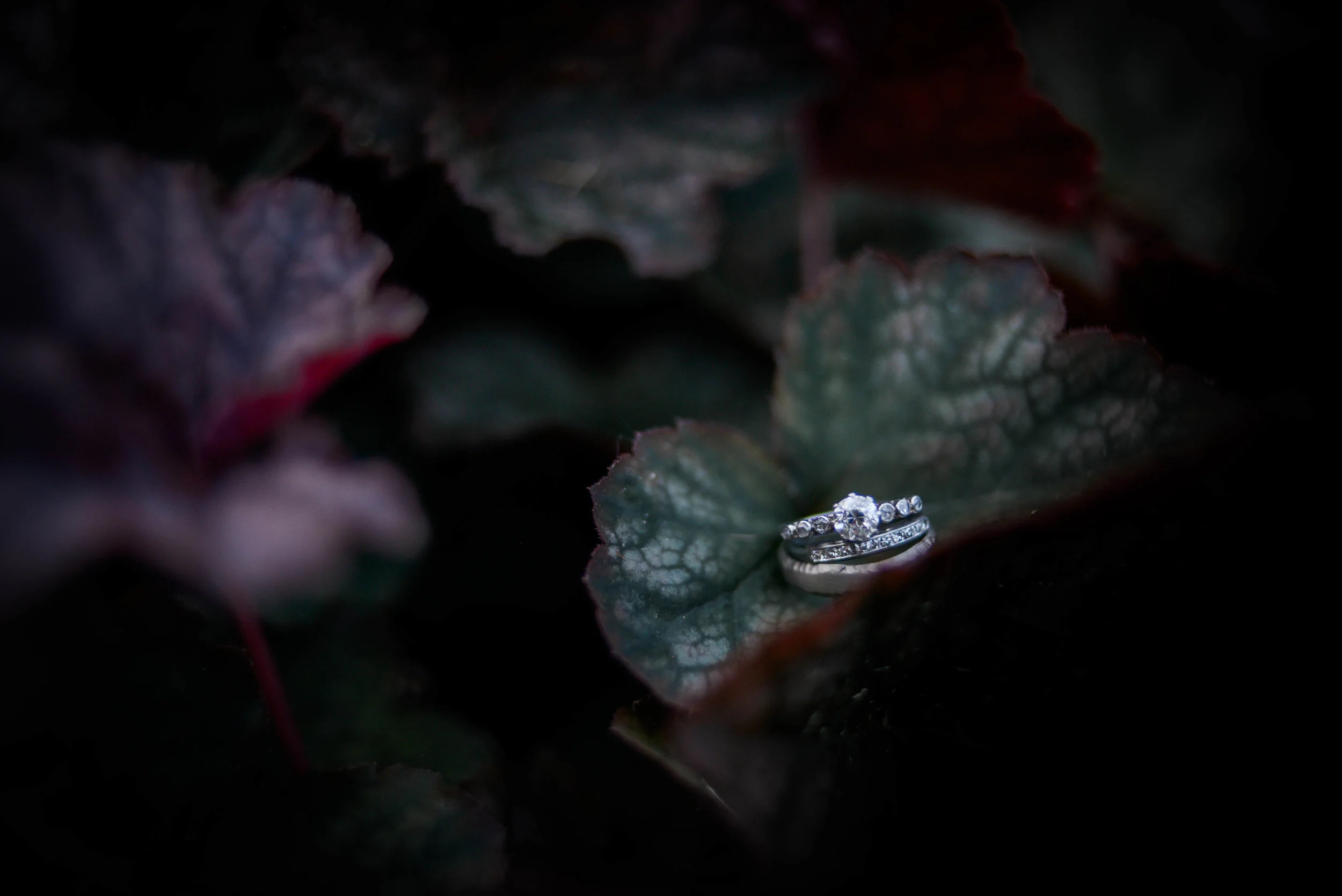 img-web-17.jpg