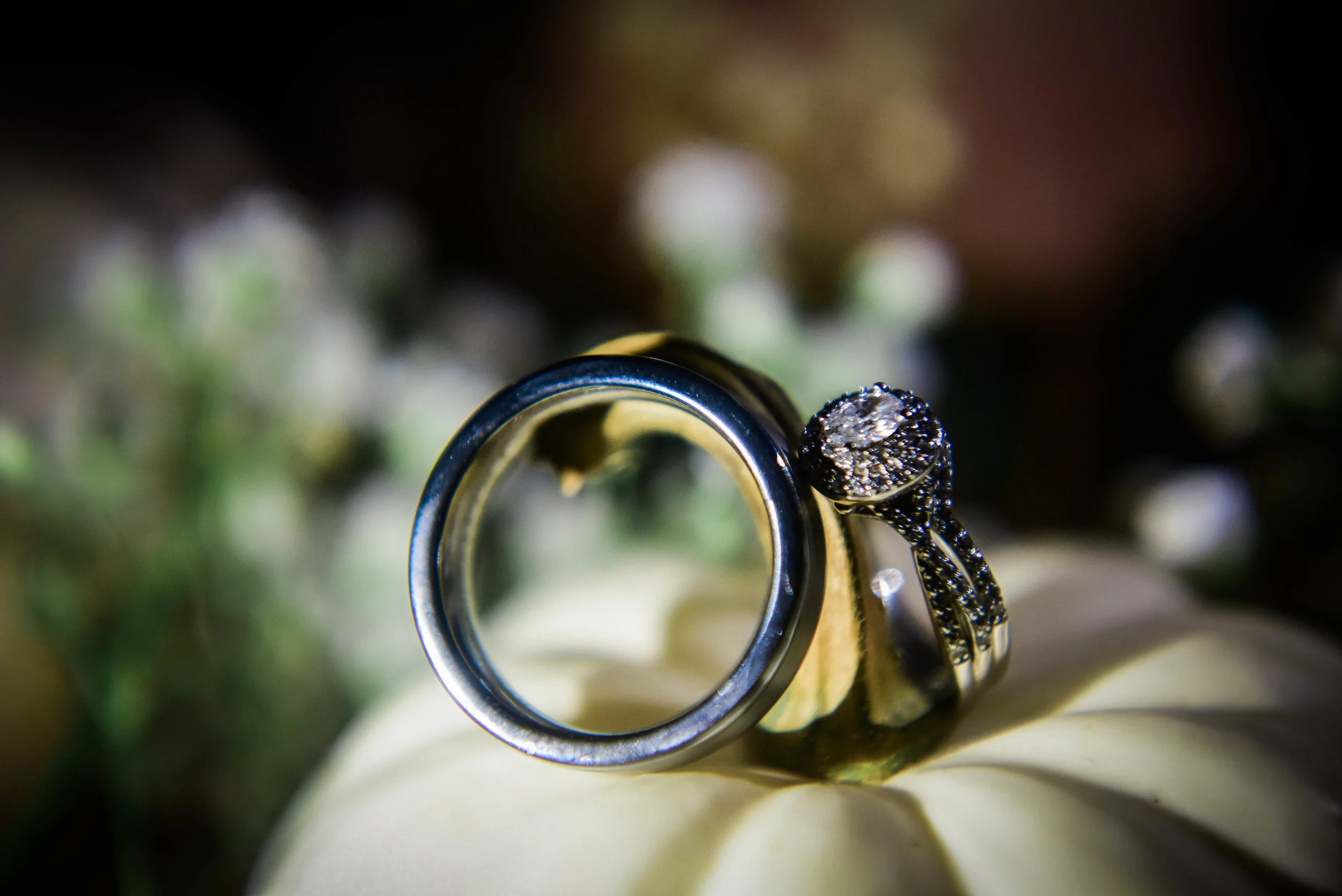 img-web-37.jpg