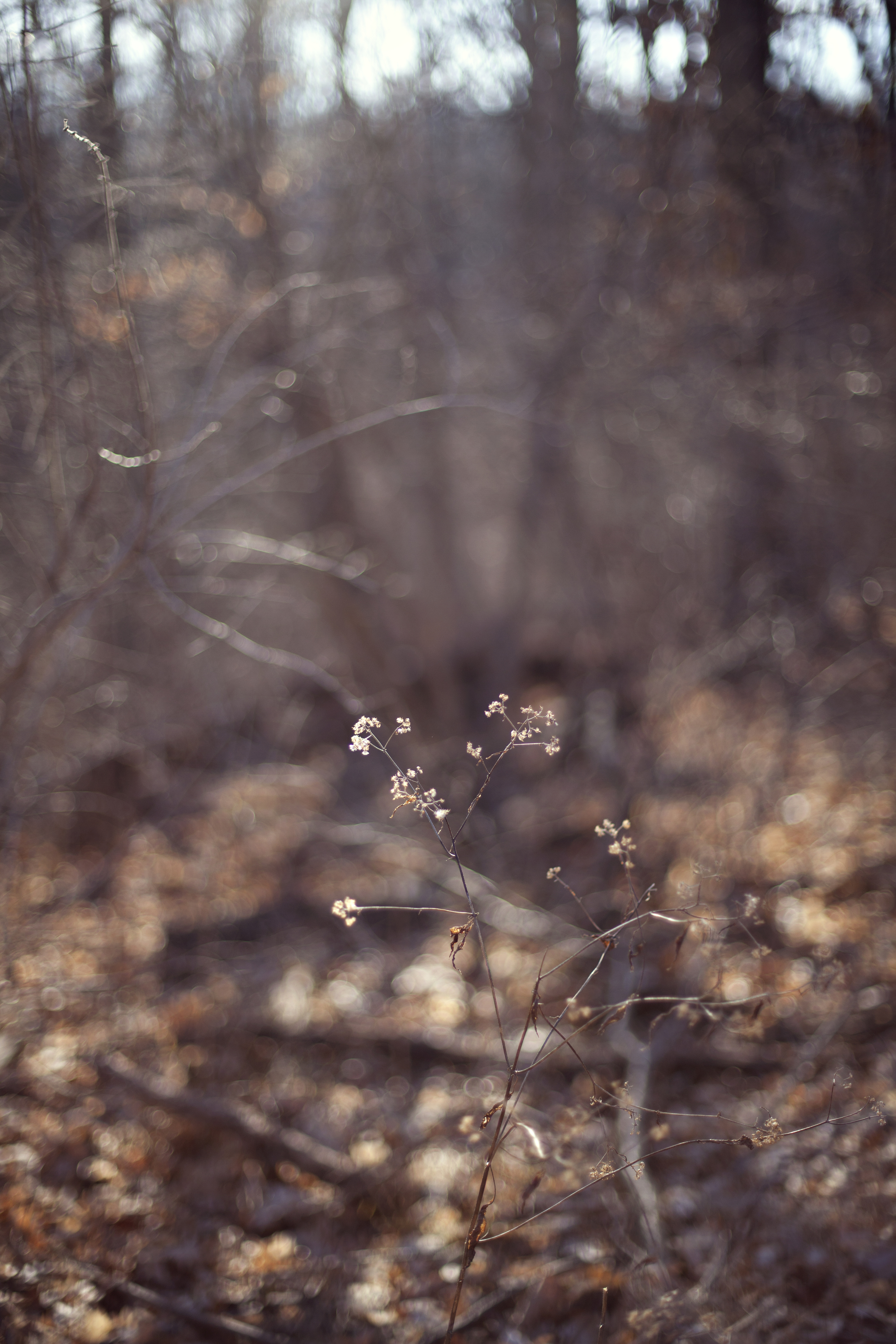 © Jennifer Summer | 2015