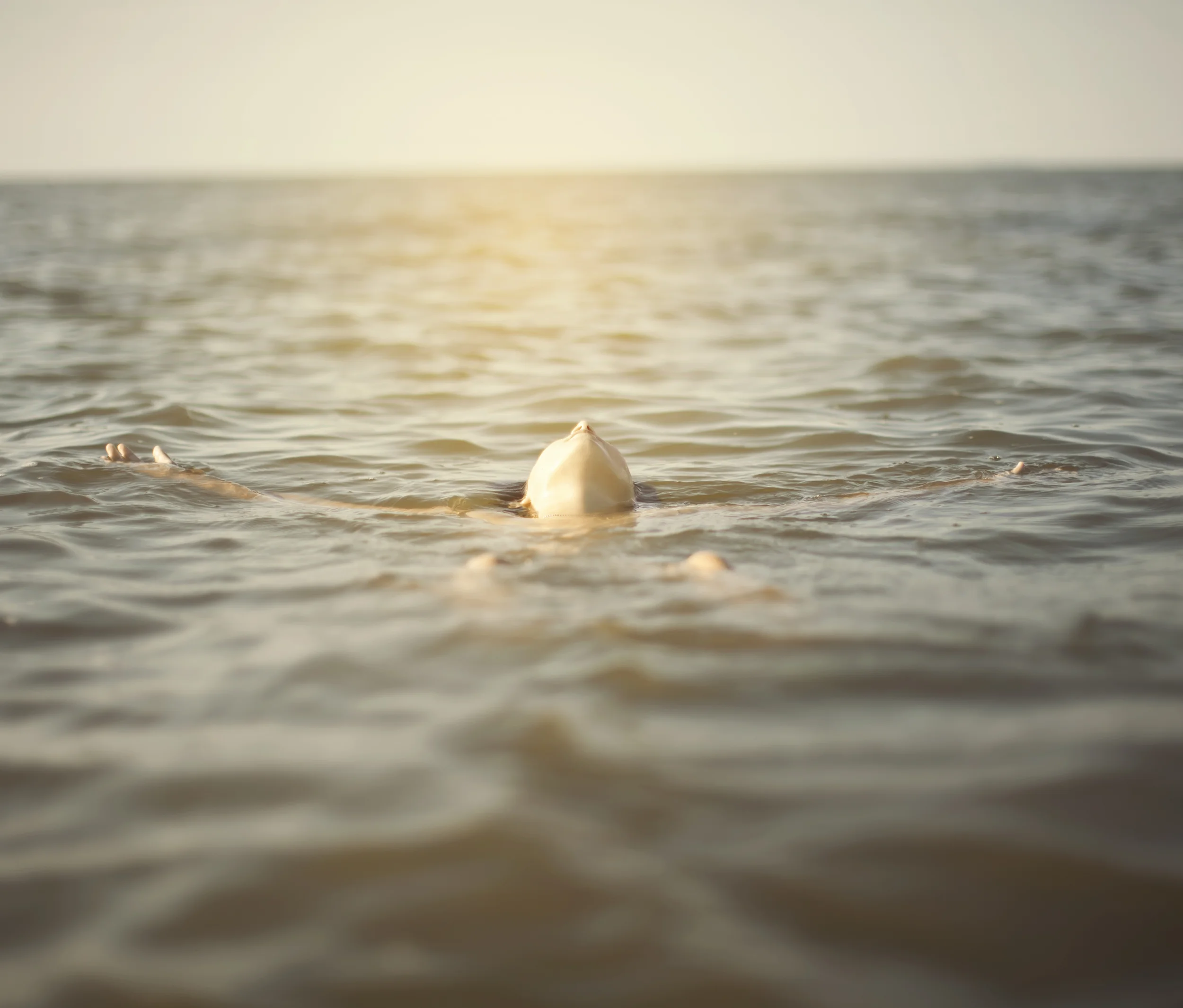 © jennifer summer | 2015
