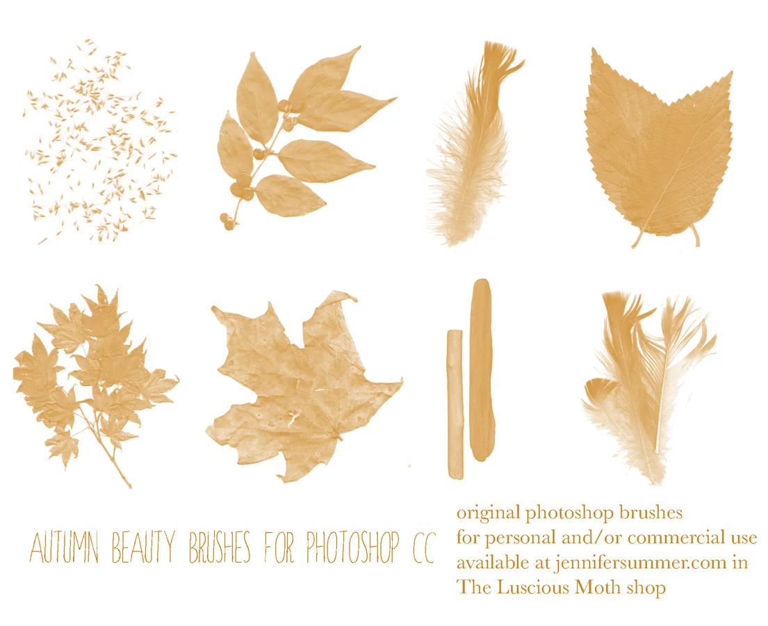 autumnbeautyphotoshopbrushes.jpg
