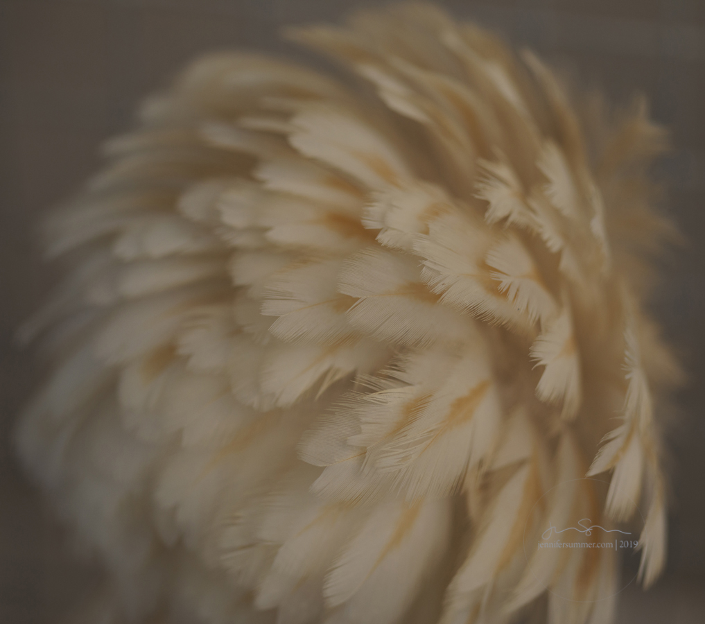 0W0A0084.jpg