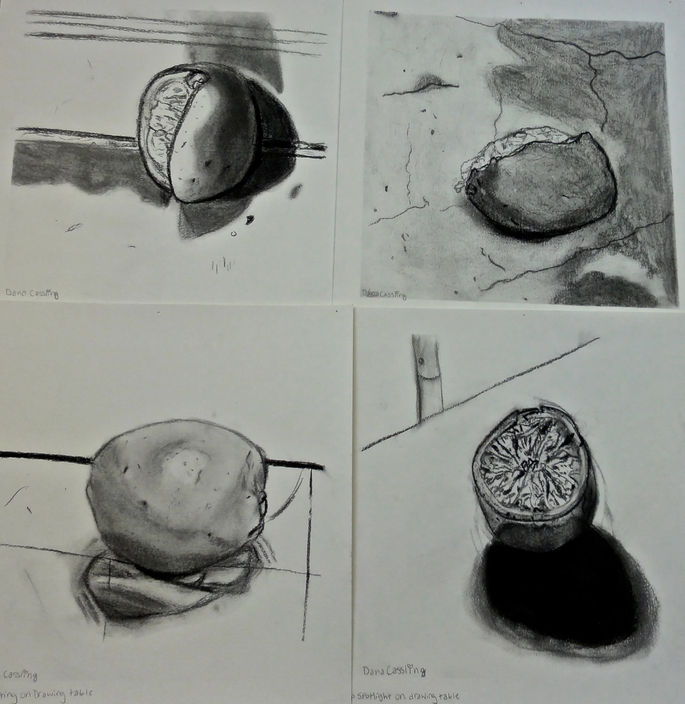  Four Oranges drawn in different lighting using charcoal. 