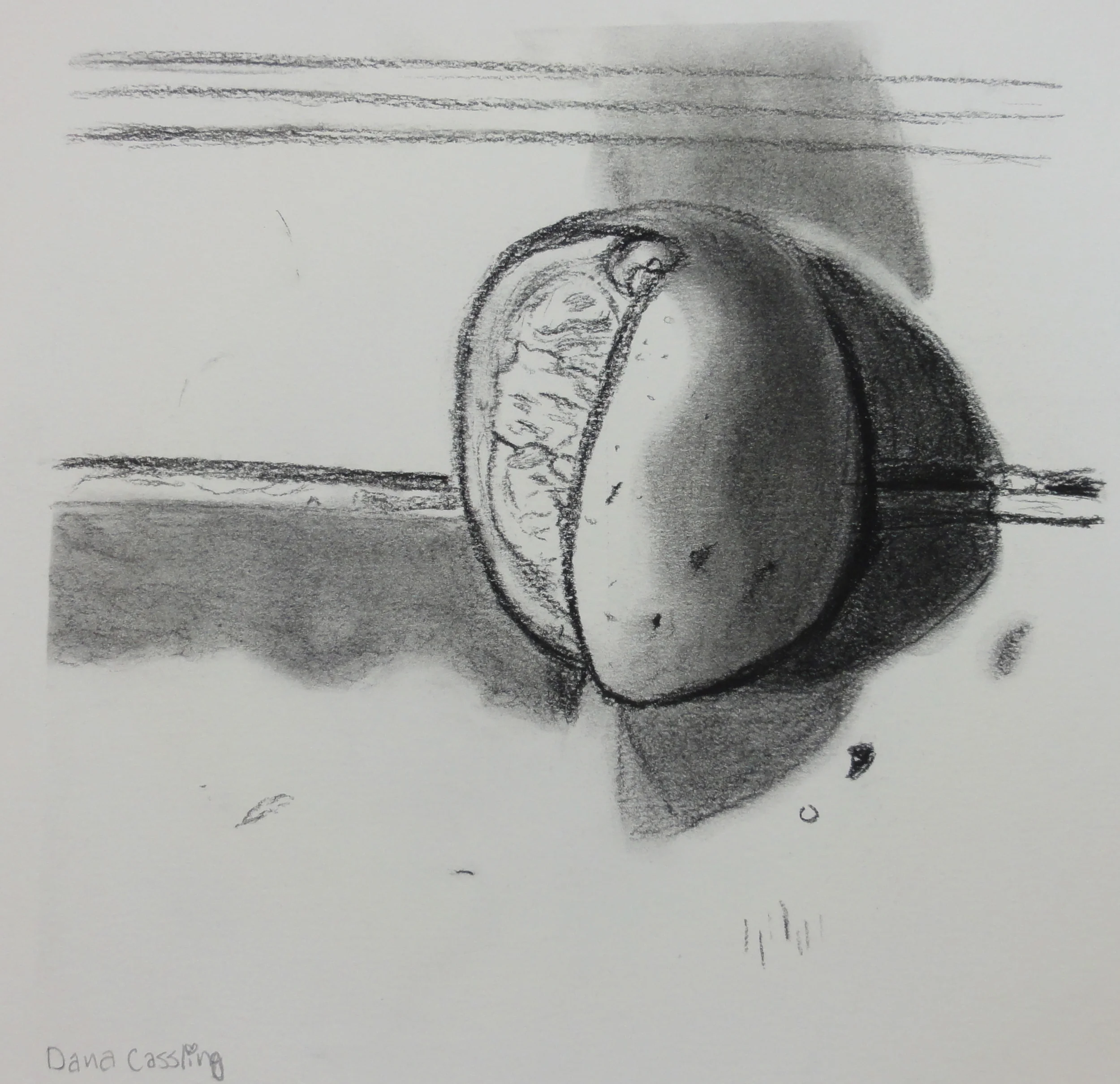  An orange drawn with the light of a window using charcoal. 