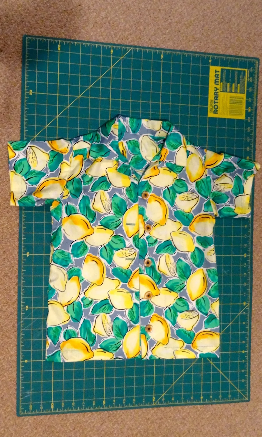  A shirt I constructed. 