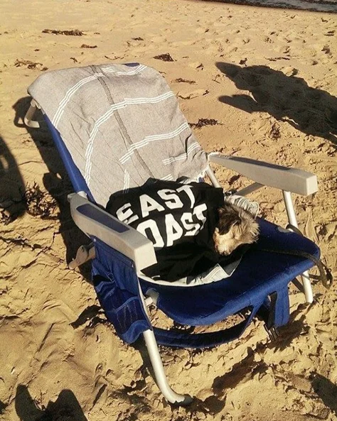 EC8.jpg
