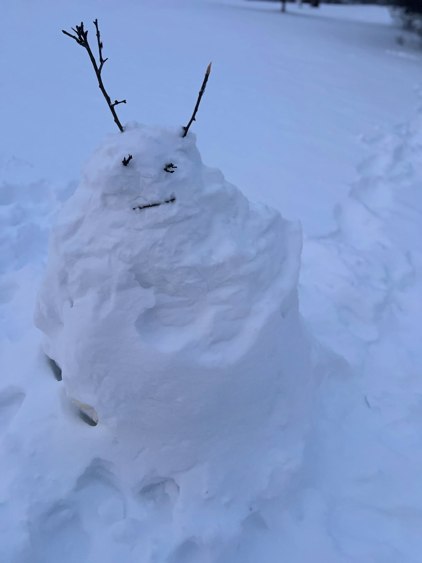 Ferdinand wishes you a peaceful evening, and a sturdy sense of self.