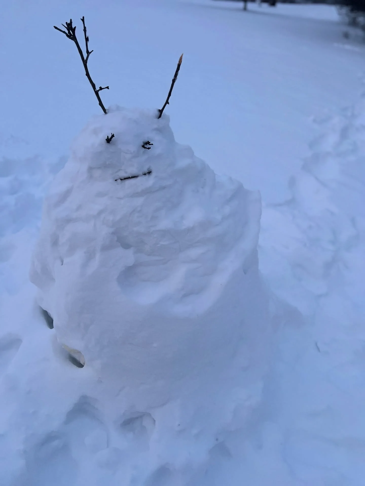 Ferdinand wishes you a peaceful evening, and a sturdy sense of self.