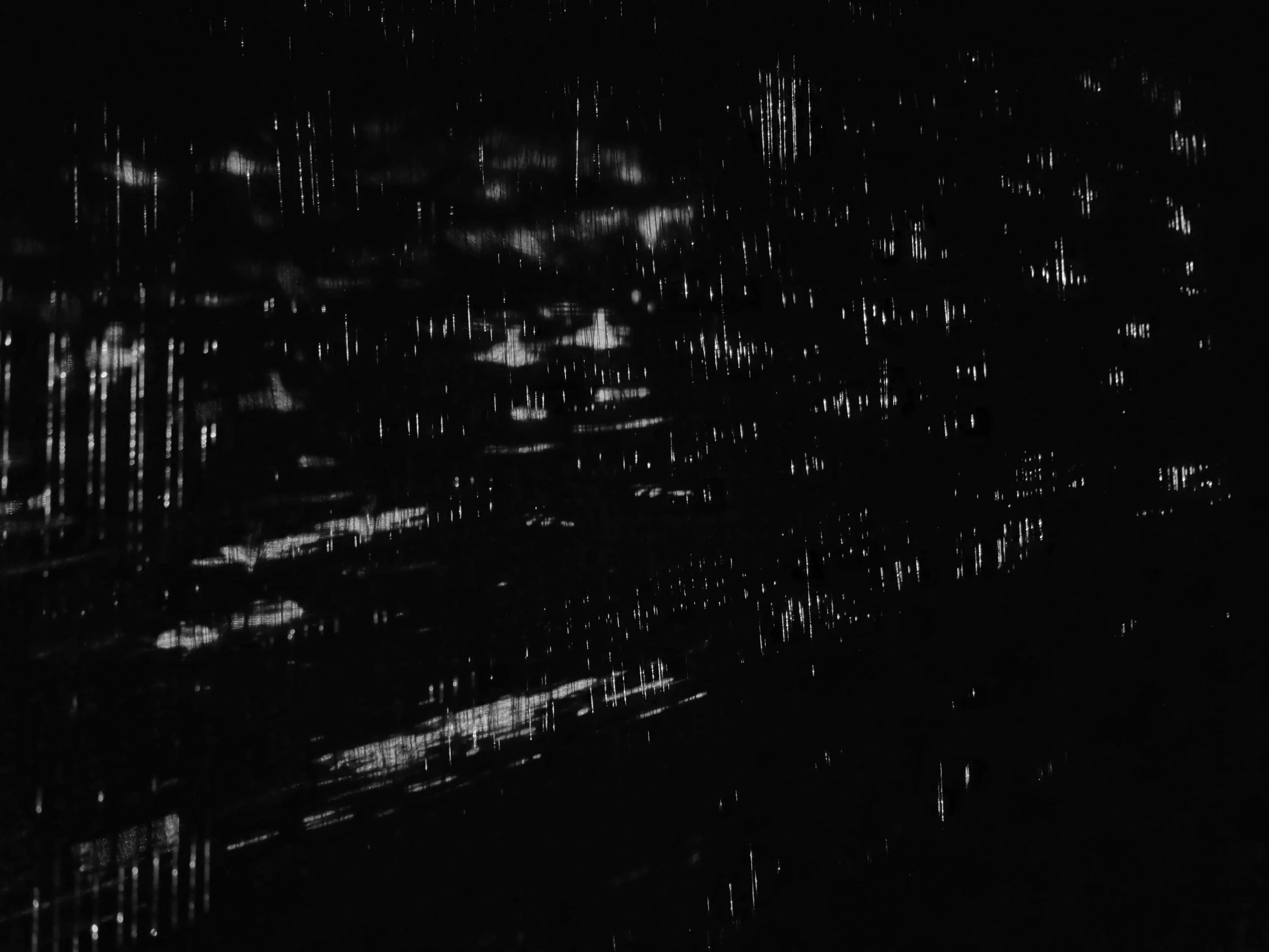 The 'Rain Sequence', Digital Forest Installation shot