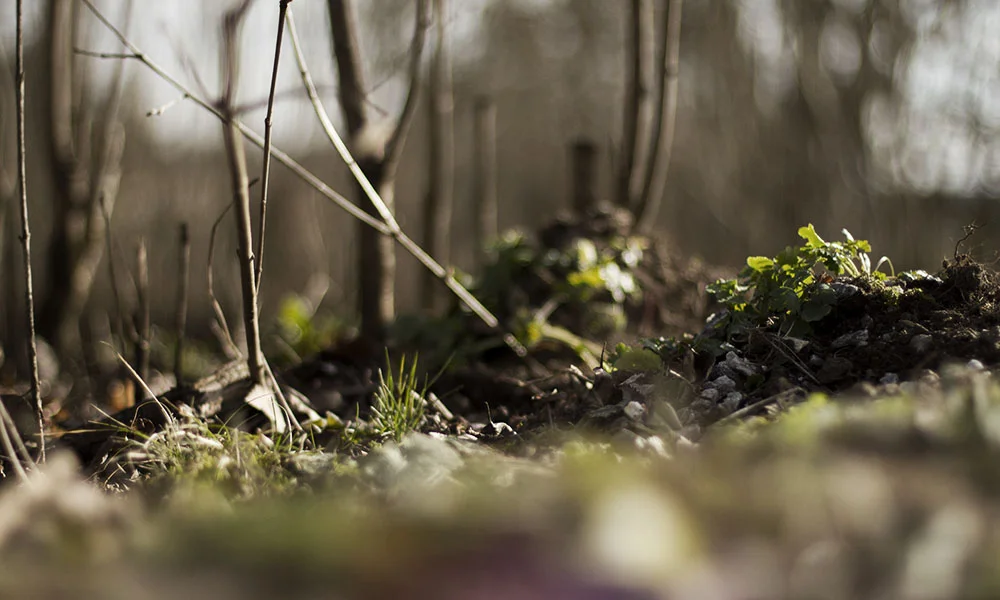 20140312_0005liten.jpg