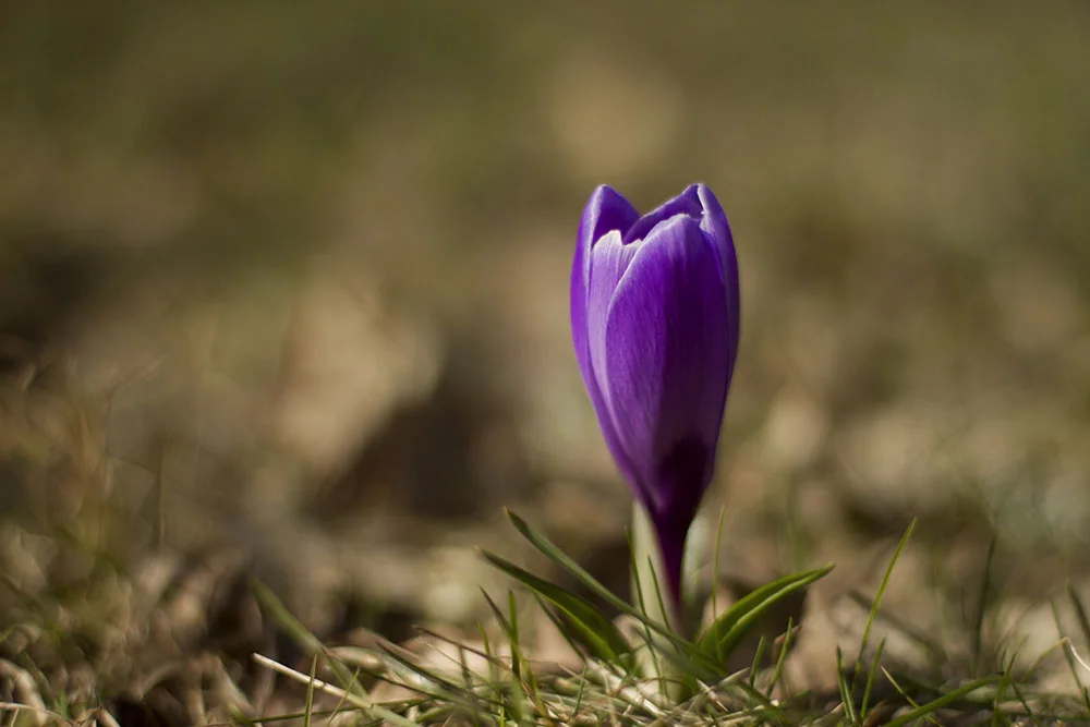 20140312_0033liten.jpg