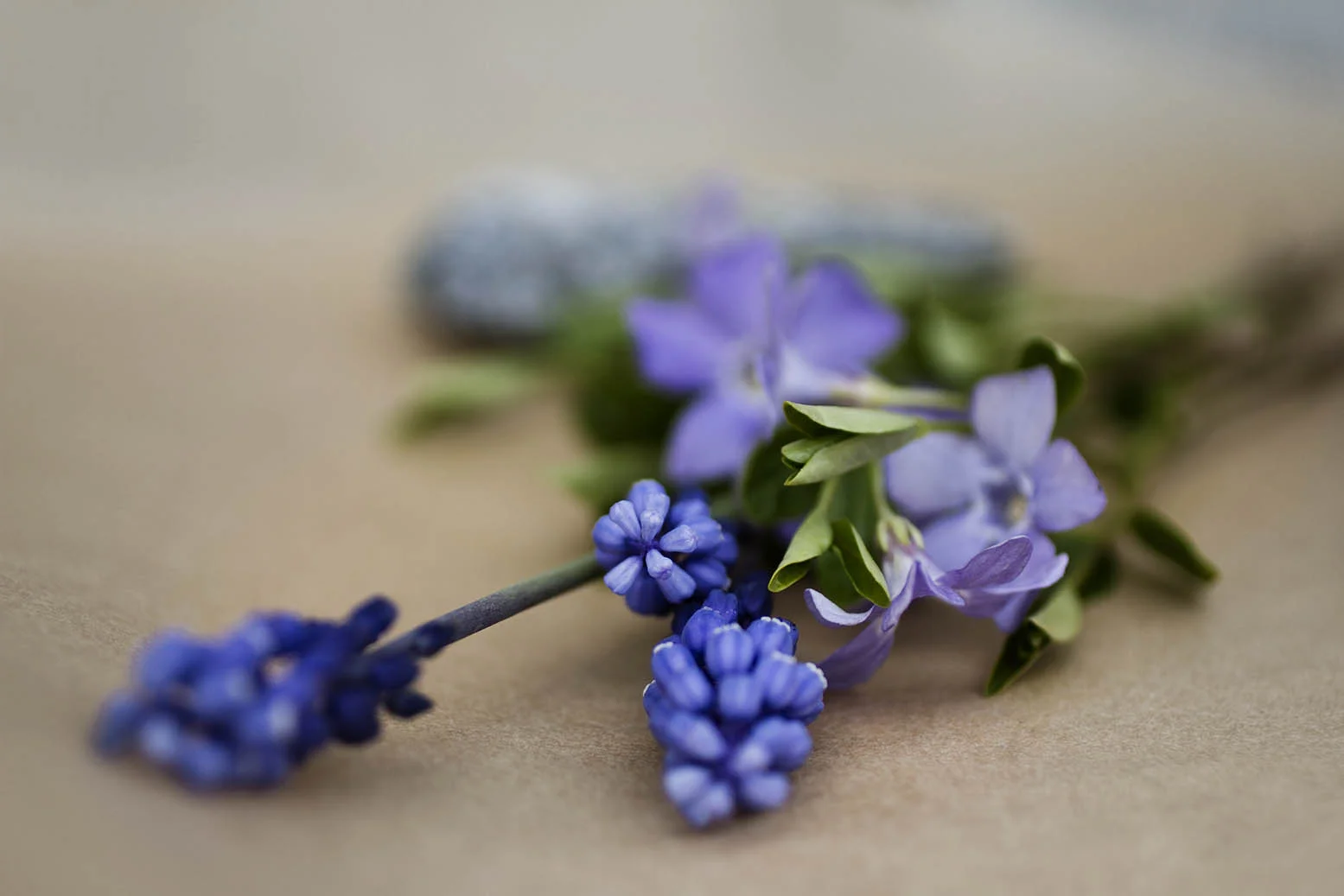 IMG_5122liten.jpg