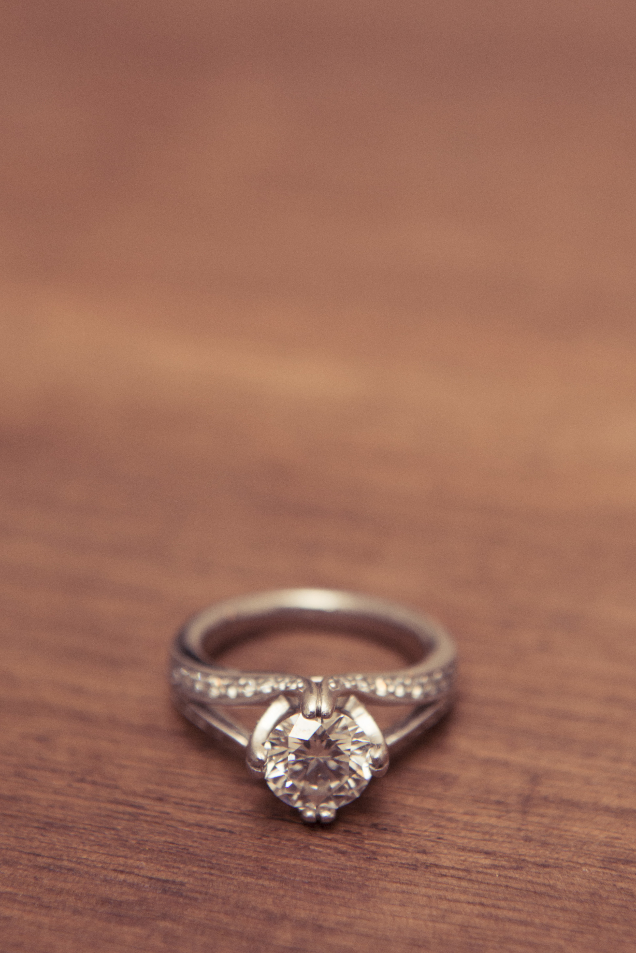 L_R_wedding_color_aged_web-1367.jpg
