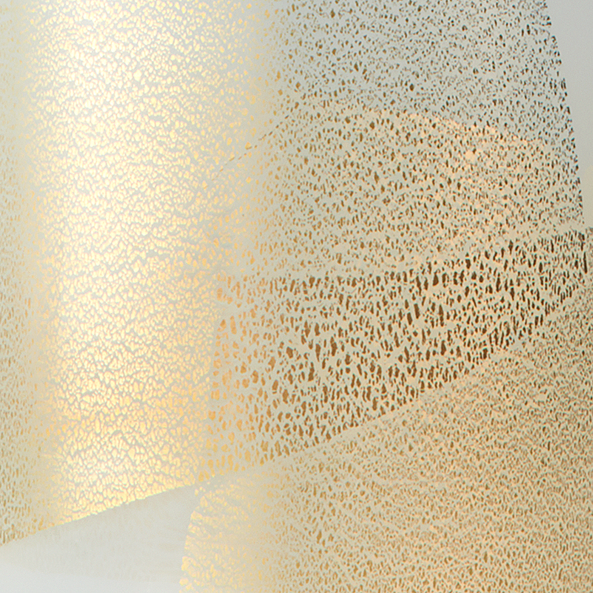 AURUM DETAIL.jpg