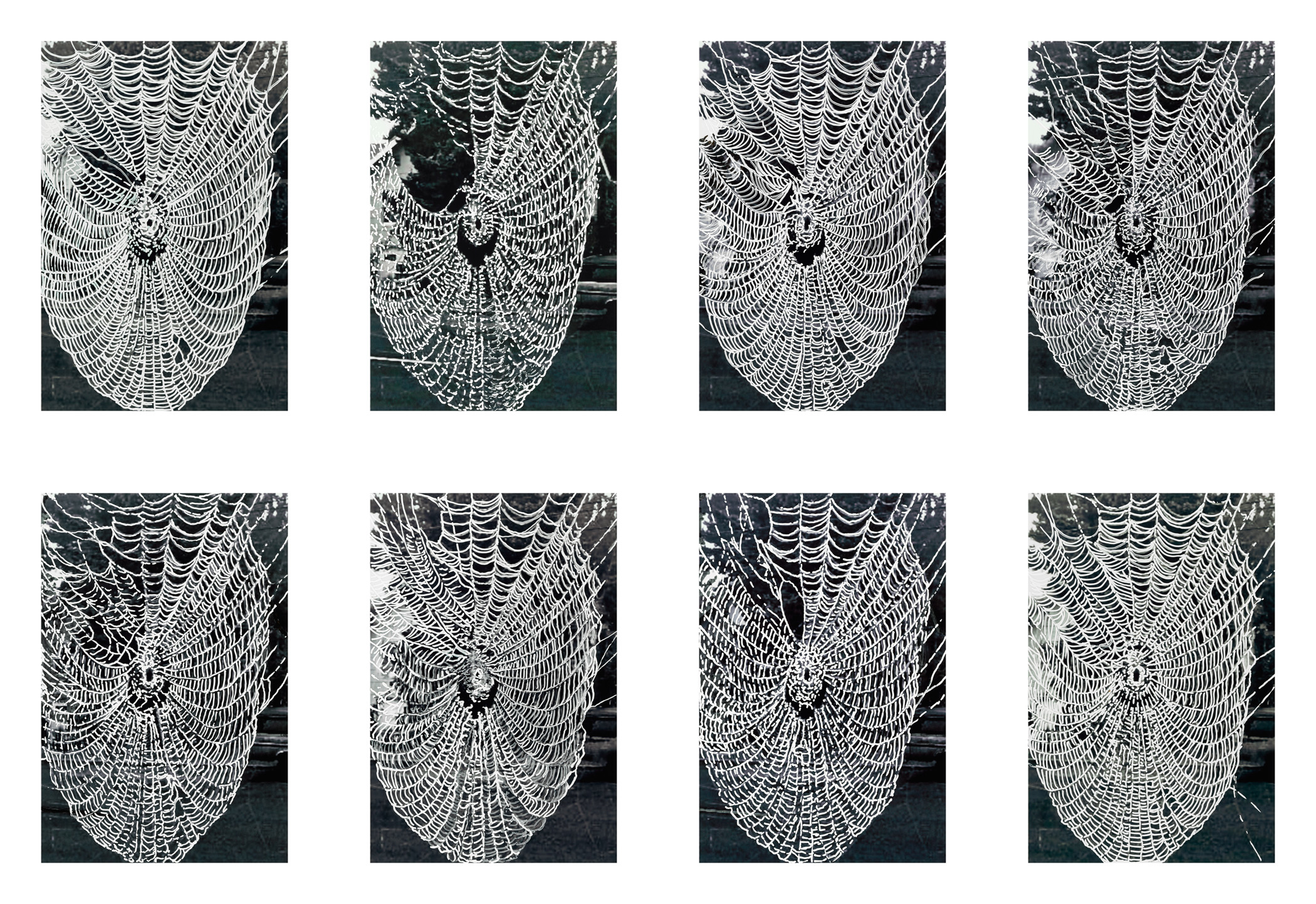 what stays the same is never so ink on photo transfer 8 4"x6" images 2014