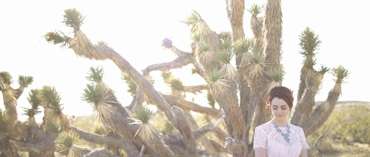 Midcentury Southwest Inspiration