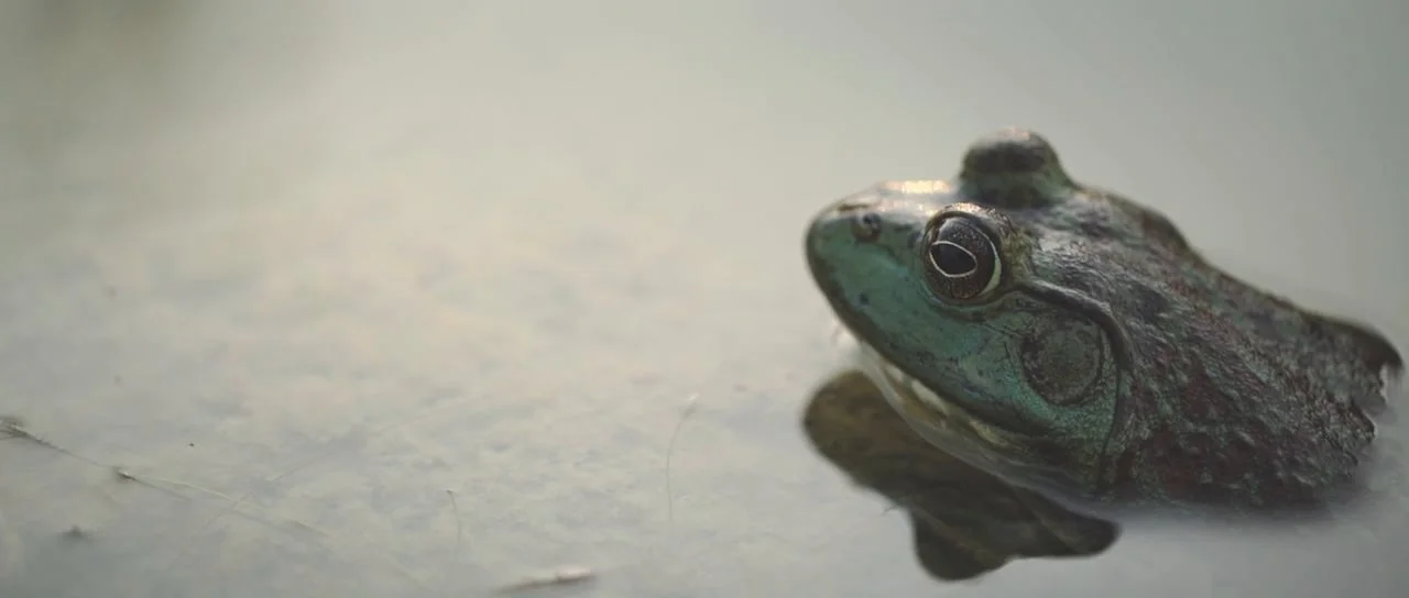 - Danielle - Bridal Video Thanksgiving Point, Utah