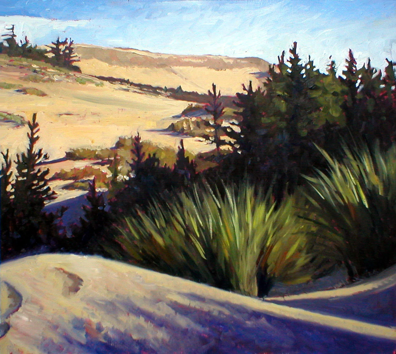 Honeyman Dunes