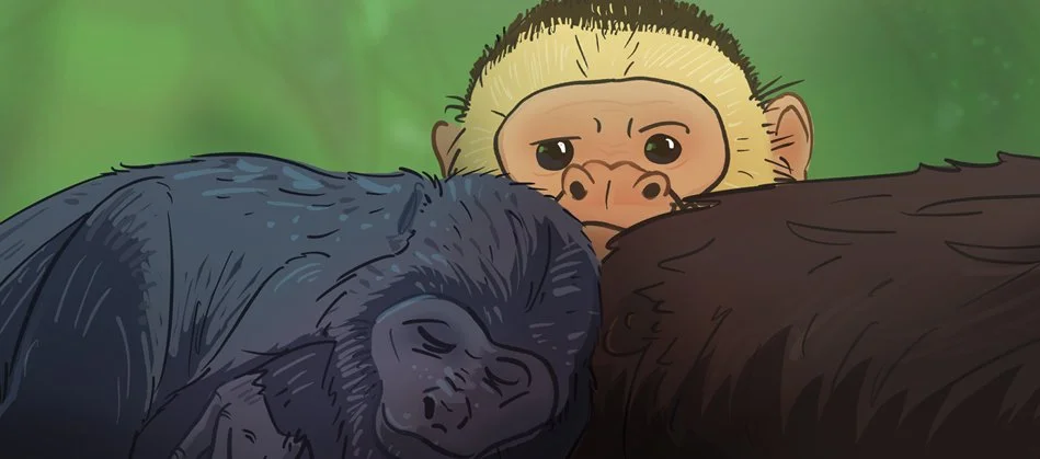 NST #1318: Monkey Mystery: The Case of the Capuchin Kidnappers (2025)