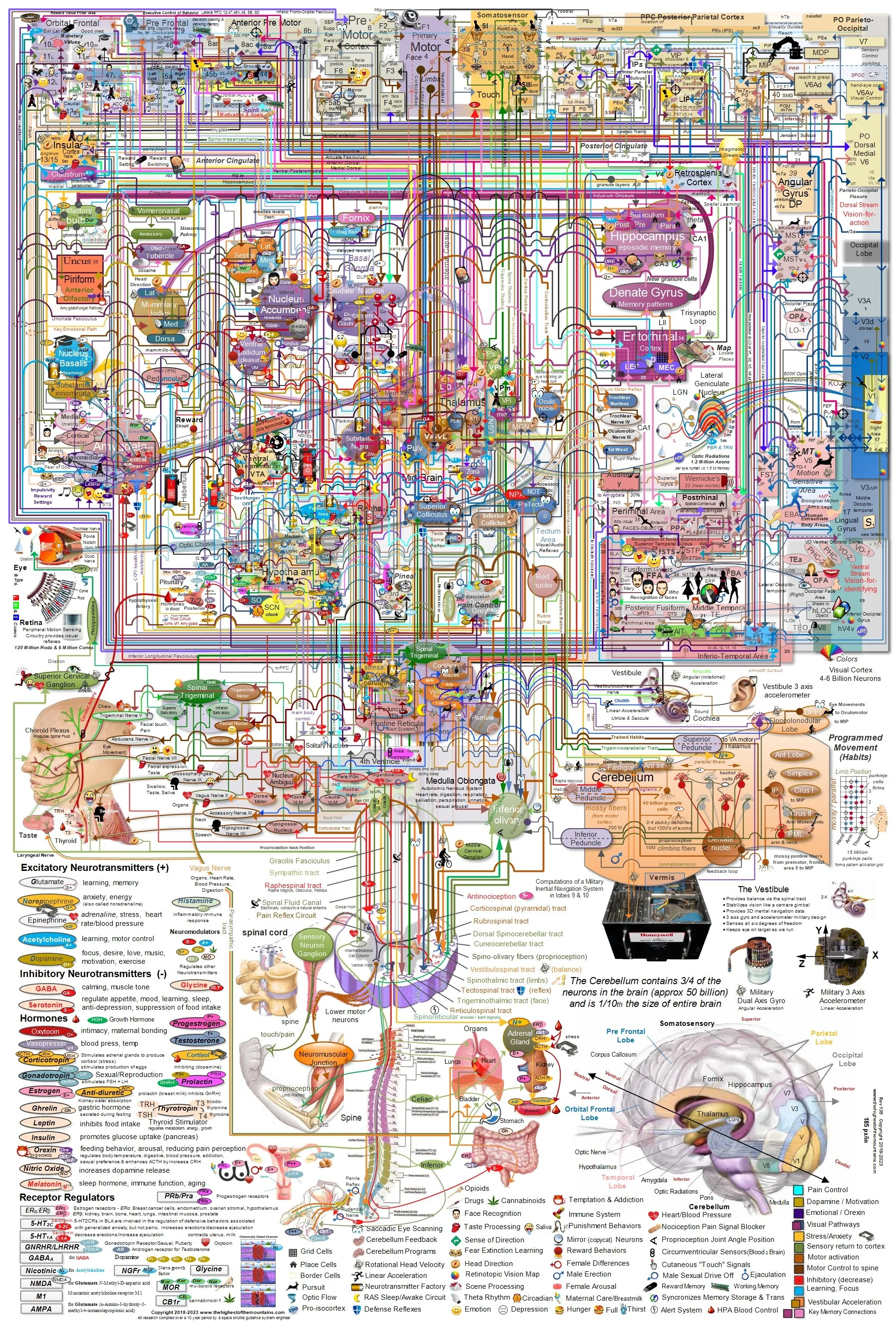NST #857: Brain Maps (2023) — The Vault of Culture