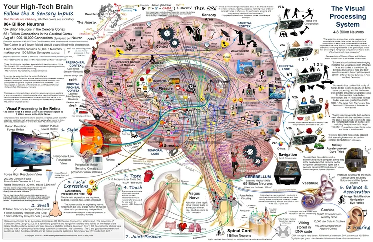 NST #857: Brain Maps (2023) — The Vault of Culture