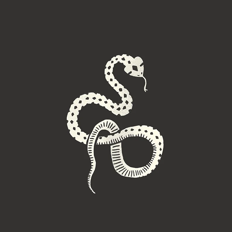 snake_web.jpg