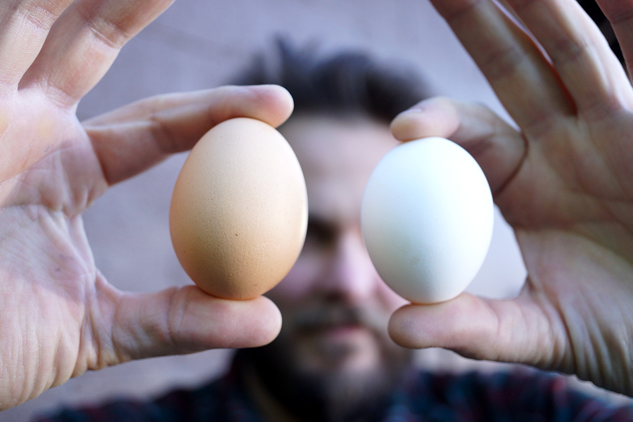 Feast your eyes on these beautiful local eggs
