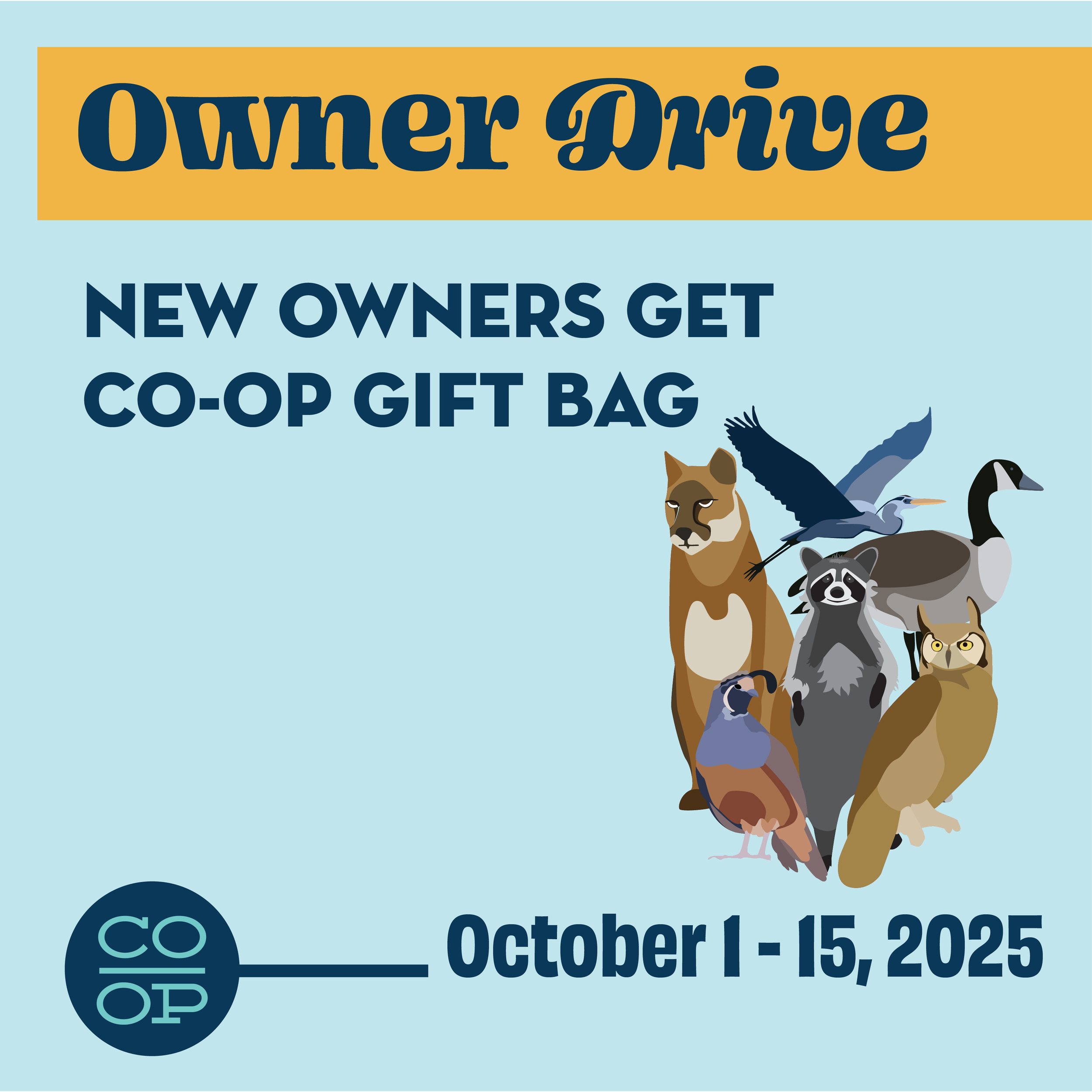 Owner Drive
