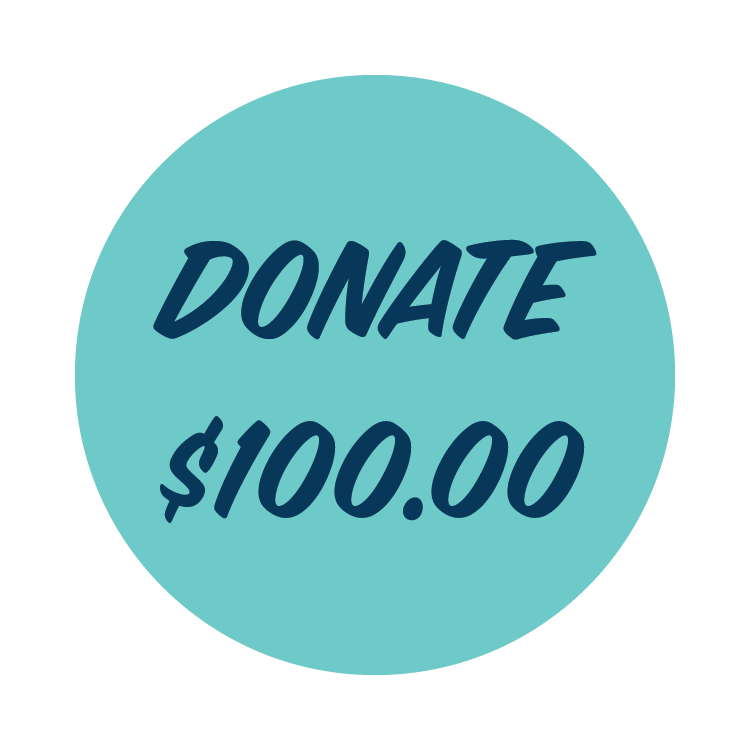 Donations Button website $100.png