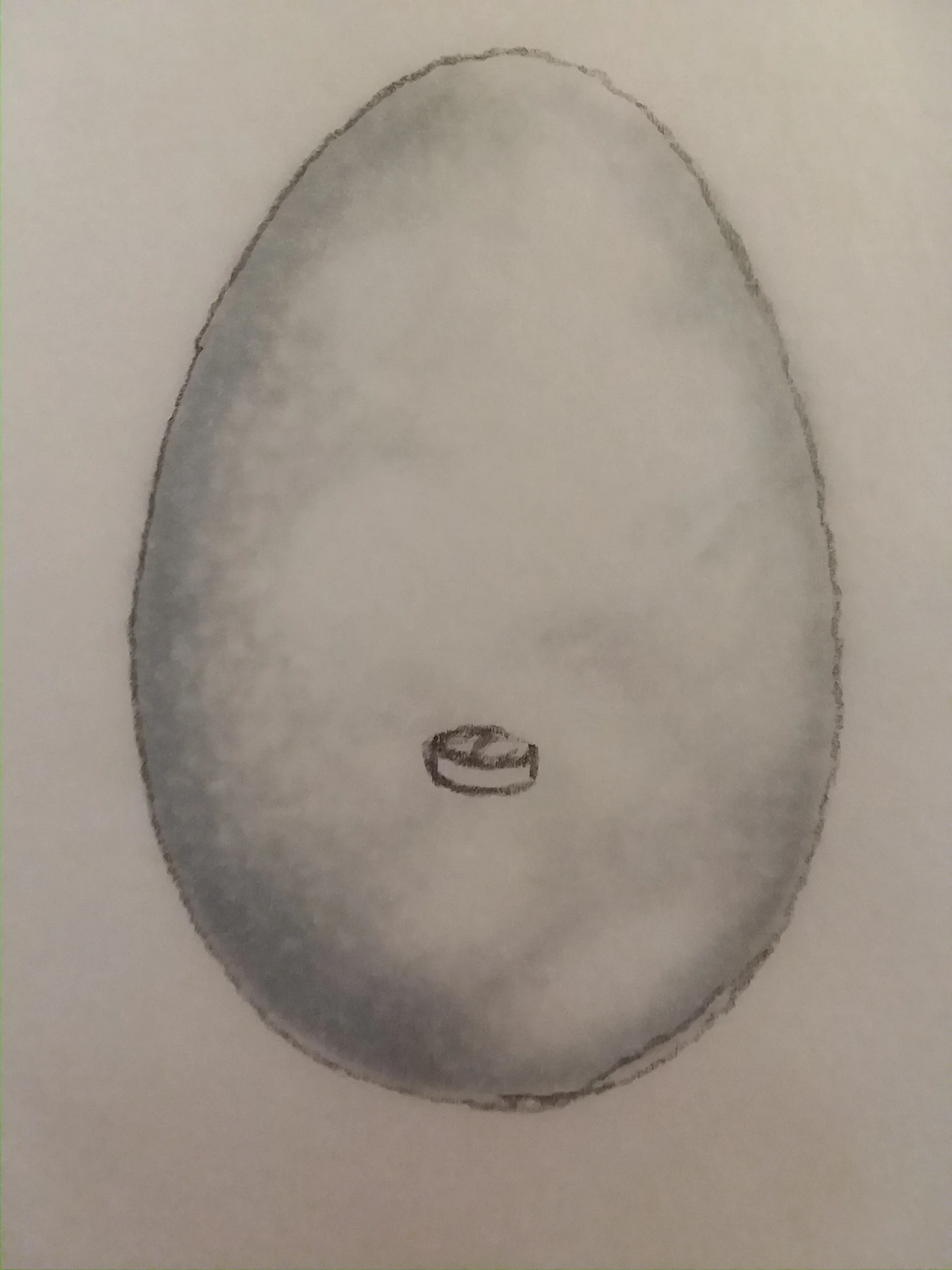 20180428_134045.jpg