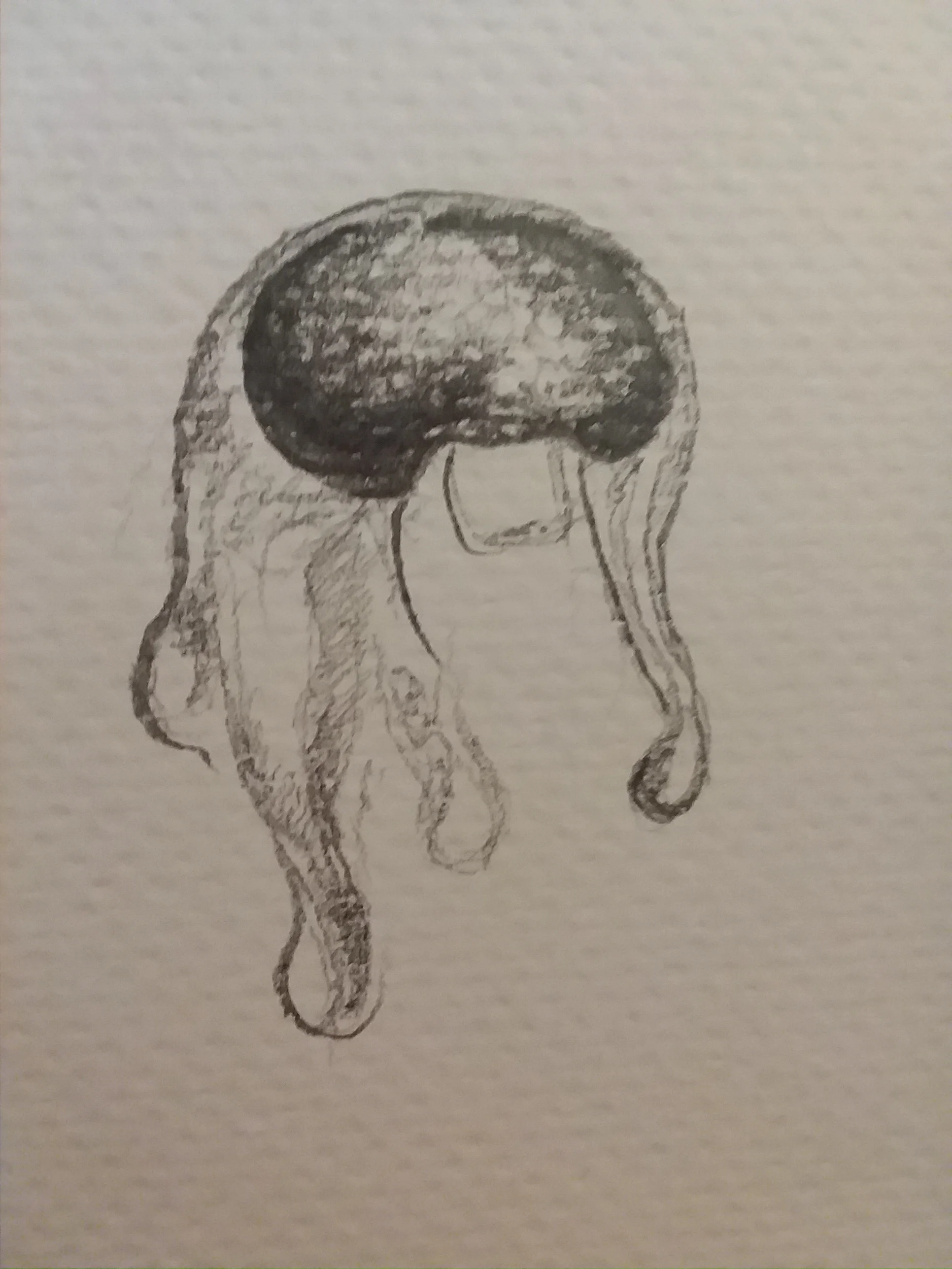 20180428_134122.jpg